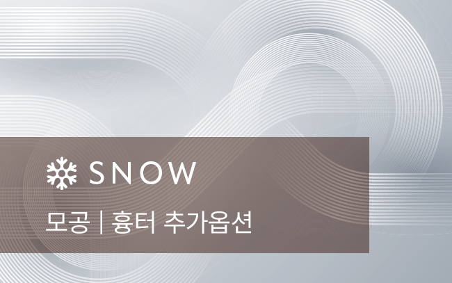 모공 | 흉터 추가옵션