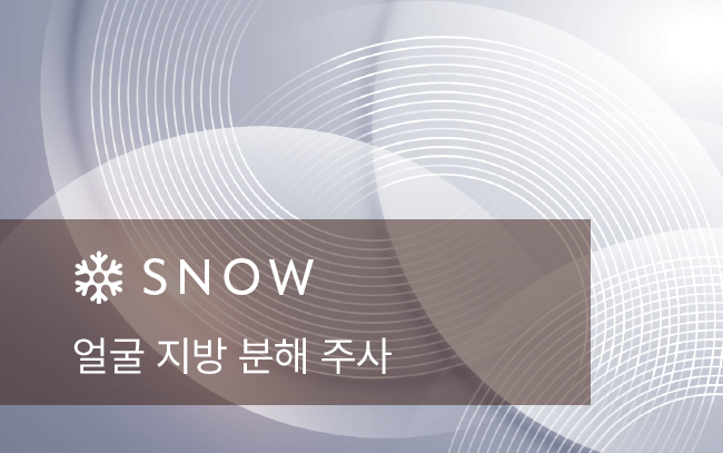 얼굴 지방 분해 주사