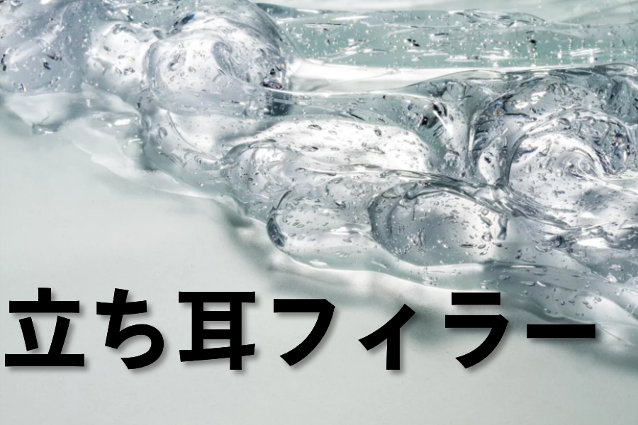 立ち耳フィラー