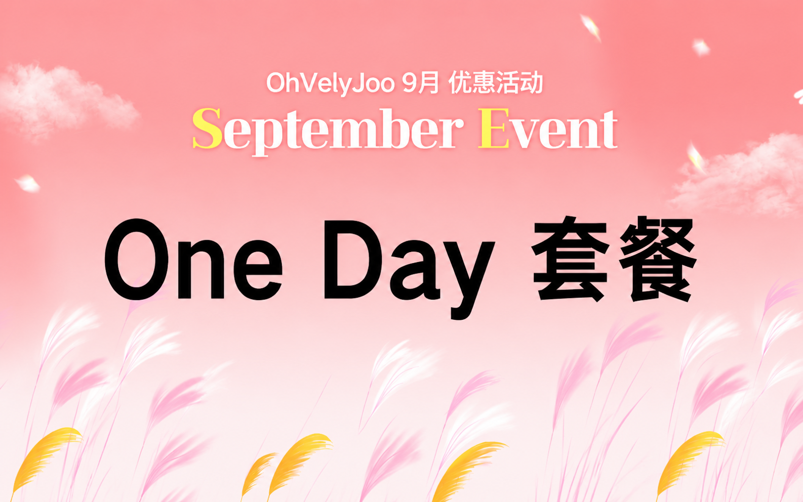One Day套餐