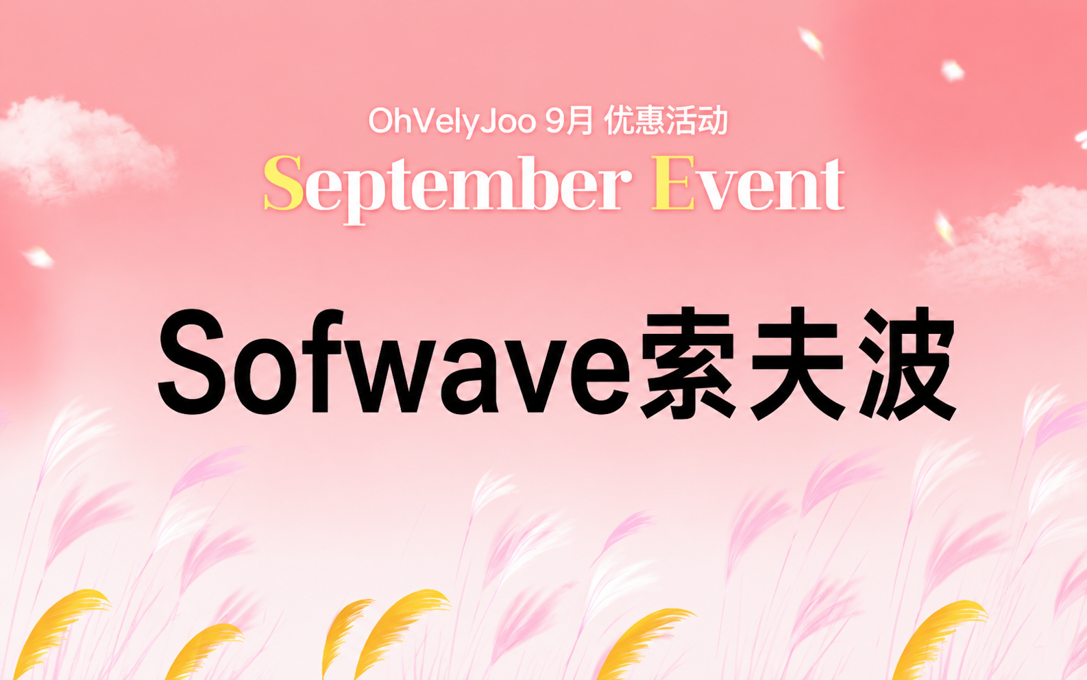 Sofwave索夫波