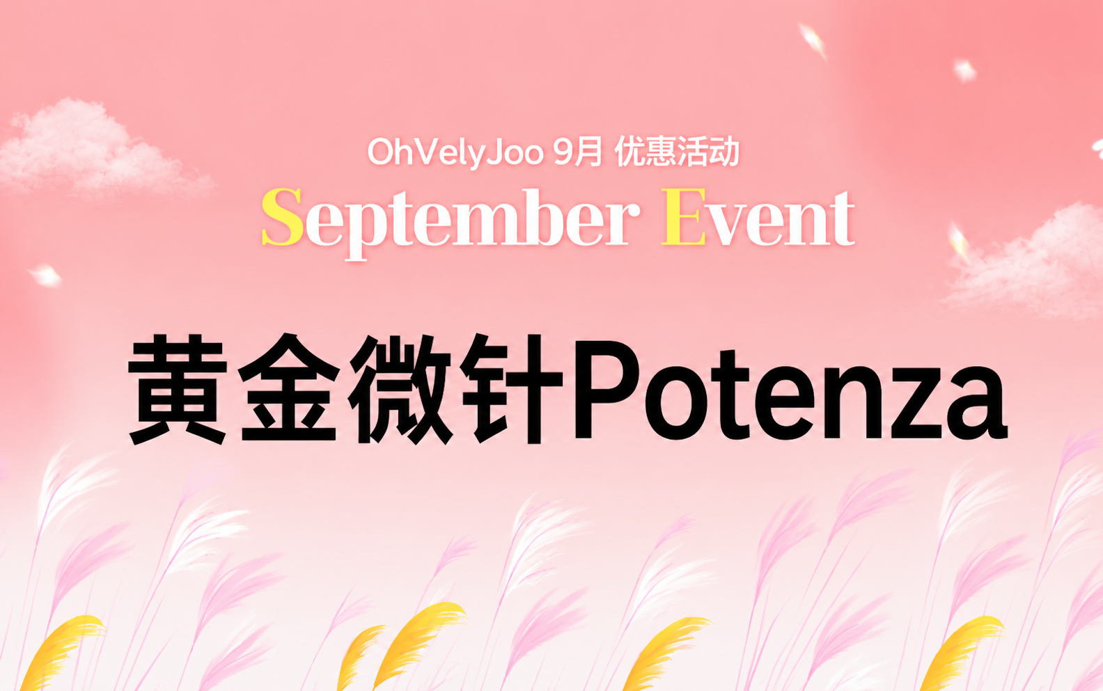 黄金微针Potenza
