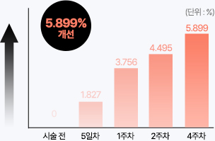 리투오